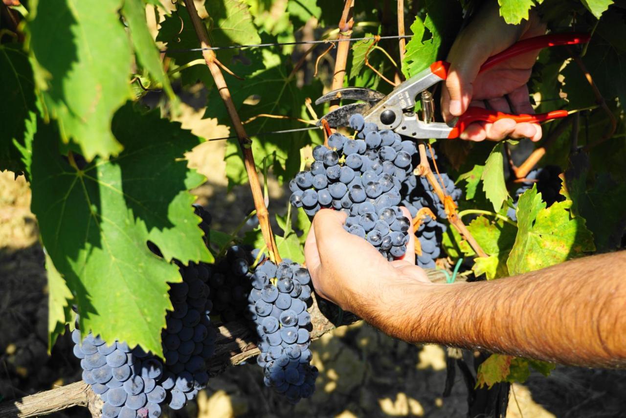 蒙特里久尼Fattoria Lornano Winery别墅 外观 照片