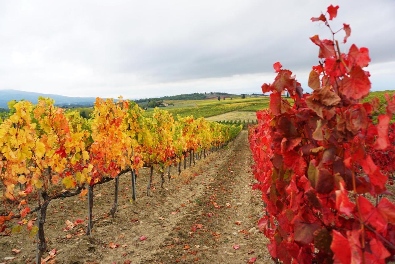 蒙特里久尼Fattoria Lornano Winery别墅 外观 照片
