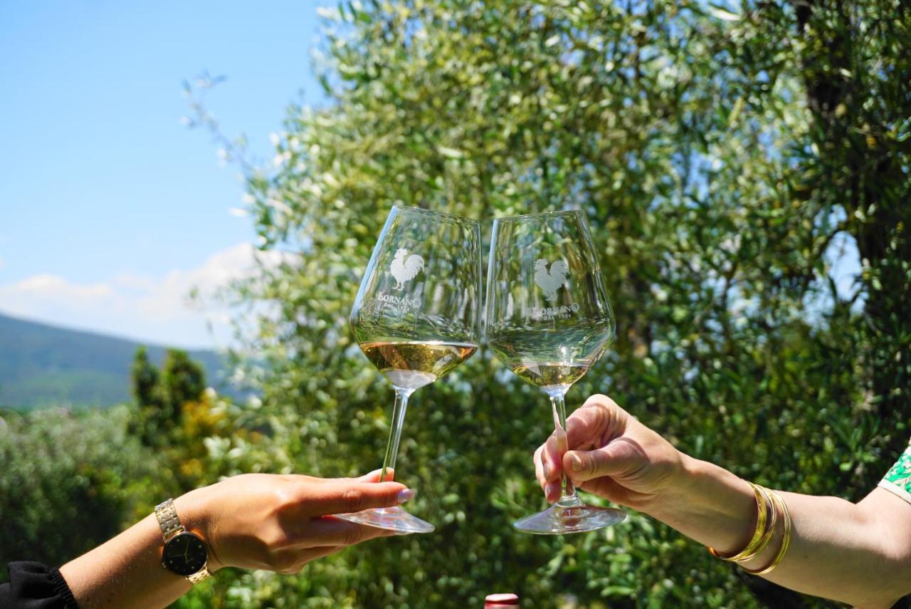蒙特里久尼Fattoria Lornano Winery别墅 外观 照片