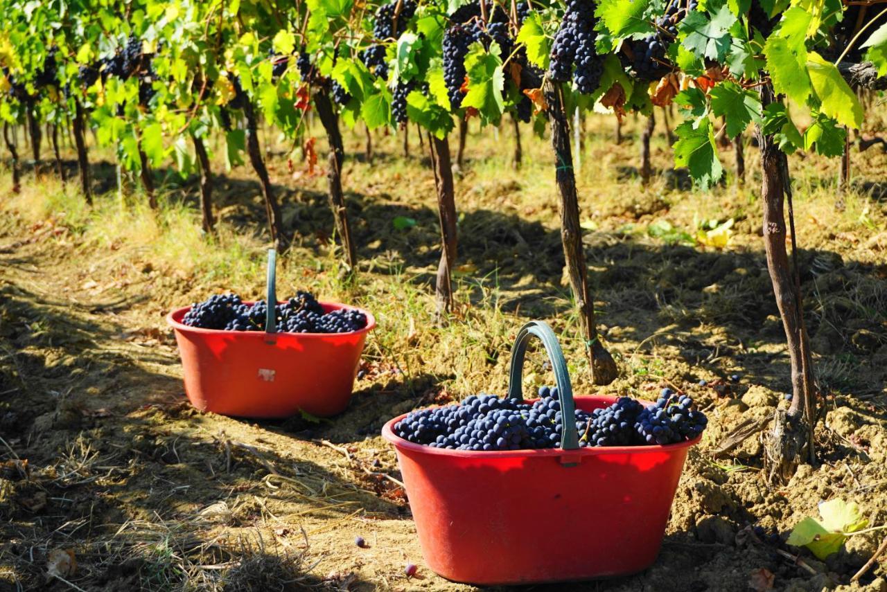 蒙特里久尼Fattoria Lornano Winery别墅 外观 照片